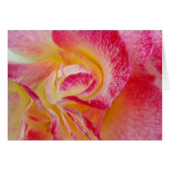 イエローピンク花びら (正面横)