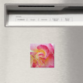 イエローピンク花びら マグネット (インサイチュ (食洗機))