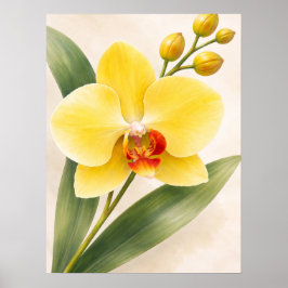 イエローファレノプシス蘭の花の植物画 ポスター