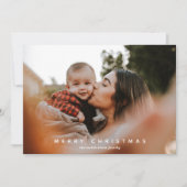 イエローフェスティバル植物写真 シーズンカード (正面)