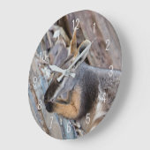 イエローフットロックワラビーKangaroo Australia ラージ壁時計 (傾斜)