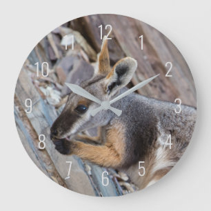 イエローフットロックワラビーKangaroo Australia ラージ壁時計
