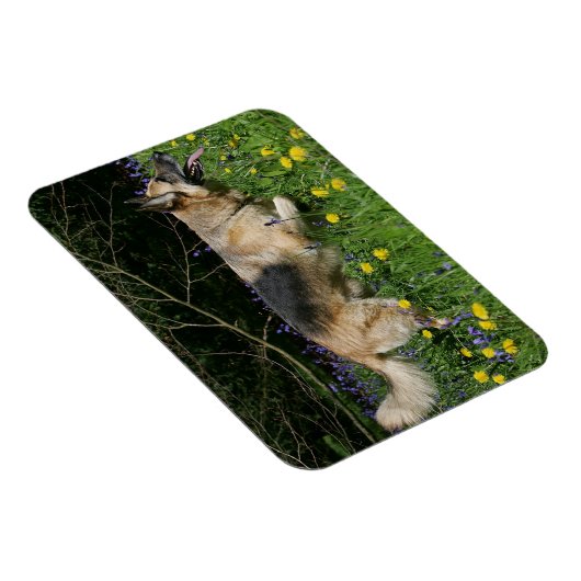 イエローフラワーのドイツの羊飼い マグネット (右側)