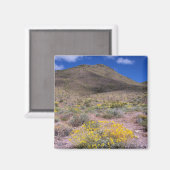 イエローフラワーズインデス・バレー マグネット (正面/裏面)