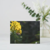 イエローフラワーズビー（昆虫）マルハナバチ自然撮影 ポストカード (スタンド正面)