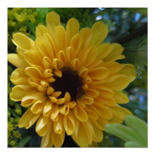 イエローフラワーポスタープリント ポスター (正面)