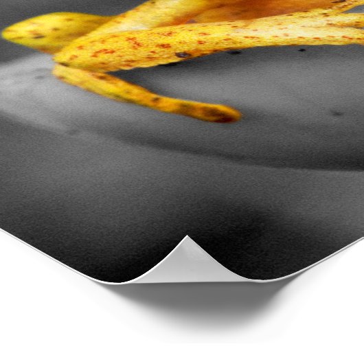 イエローフロッグ ポスター (角)