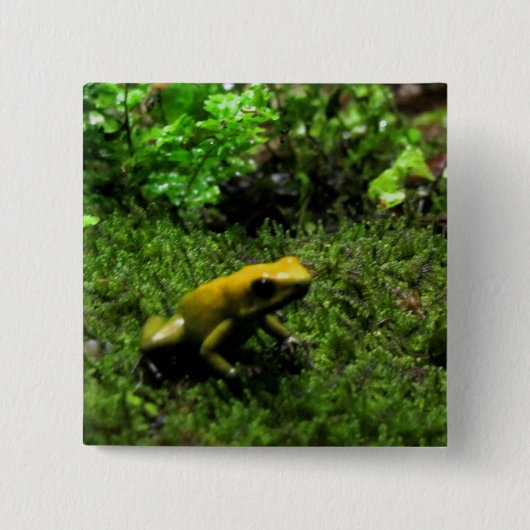 イエローフロッグ 缶バッジ (正面)