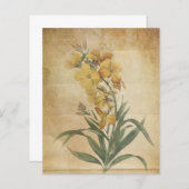 イエローフローラヴィンテージスクラップブック紙 (正面/裏面)