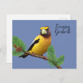 イエローブラックバード夕べブレストグロズベーク ポストカード (正面/裏面)
