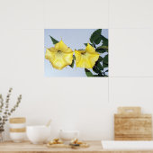 イエローブルグマンシア – エンジェルズトランペットの花 ポスター (キッチン)