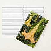 イエローブルマンシア開花フローラ ノートブック (内側)