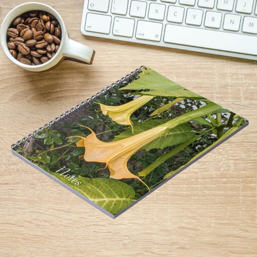 イエローブルマンシア開花フローラ ノートブック