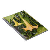 イエローブルマンシア開花フローラ ノートブック (右側)