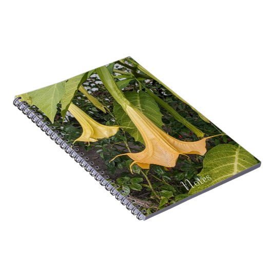 イエローブルマンシア開花フローラ ノートブック (右側)