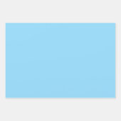 イエローブルーピンクワイルドフラワーフィールド2025 ラッピングペーパーシート (正面3)