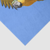 イエローブルーマカオ 薄葉紙 (詳細)