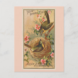 イエローブレストチャット ポストカード