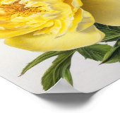 イエロープニー花芸術プリントポスター ポスター (角)