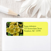 イエロープリムローズフラワー住所 シール (インサイチュ)