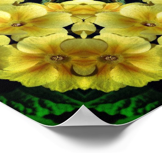 イエロープリムローズフラワー抽象芸術 ポスター (角)