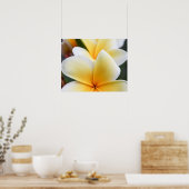 イエロープルメリアフラワーフランジパニフローラデザイン ポスター (キッチン)
