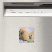 イエローヘア マグネット (インサイチュ (食洗機))