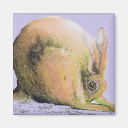 イエローヘア マグネット (正面)