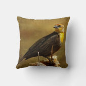 イエローヘッドブラックバード装飾用クッション クッション (裏面)