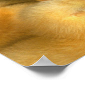 イエローベビーチックス ポスター (角)