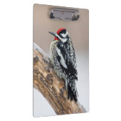 イエローベリーズのサプッカー男性 クリップボード (右)