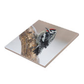 イエローベリーズのサプッカー男性 タイル (側面)