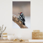 イエローベリーズのサプッカー男性 ポスター (キッチン)