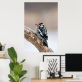 イエローベリーズのサプッカー男性 ポスター (ホームオフィス)