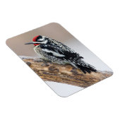 イエローベリーズのサプッカー男性 マグネット (右側)