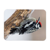 イエローベリーズのサプッカー男性 マグネット (横)