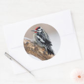 イエローベリーズのサプッカー男性 ラウンドシール (封筒)