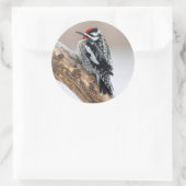 イエローベリーズのサプッカー男性 ラウンドシール (バッグ)