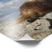 イエローベリーマルモート フォトプリント            (角)