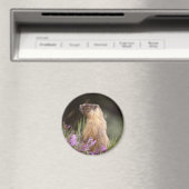 イエローベリーマーモットマグネット マグネット (インサイチュ (食洗機))