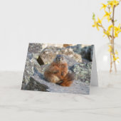 イエローベルドマーモート折り畳みグリーティングカード カード (黄色い花)