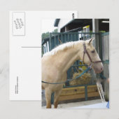 イエローホース ポストカード (正面/裏面)