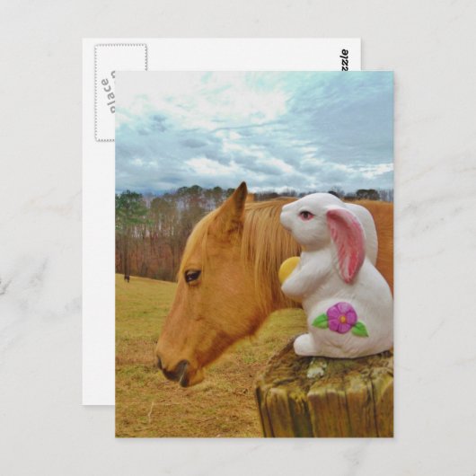 イエローホース、春ウサギ ポストカード (正面/裏面)