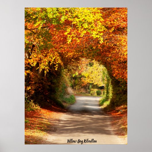 イエローボグキルクリレン ポスター (正面)