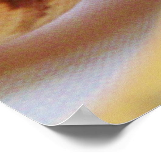 イエローボールPythonクローズアップ ポスター (角)