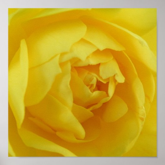 イエローポスター ポスター (正面)