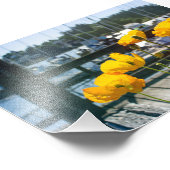 イエローポピズアットザボートマリーナポート フォトプリント            (角)