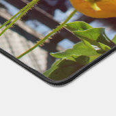 イエローポピーとマリーナポートオブオリンピア デスクマット (コーナー)