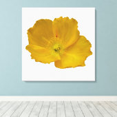 イエローポピーアラスカンワイルドフラワーフローラ キャンバスプリント (インサイチュ (ウッドフロア))