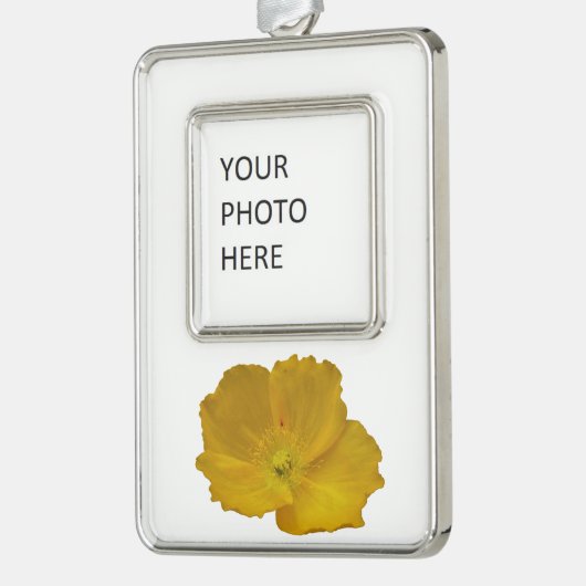 イエローポピーアラスカンワイルドフラワーフローラ シルバープレートフレームオーナメント (左)